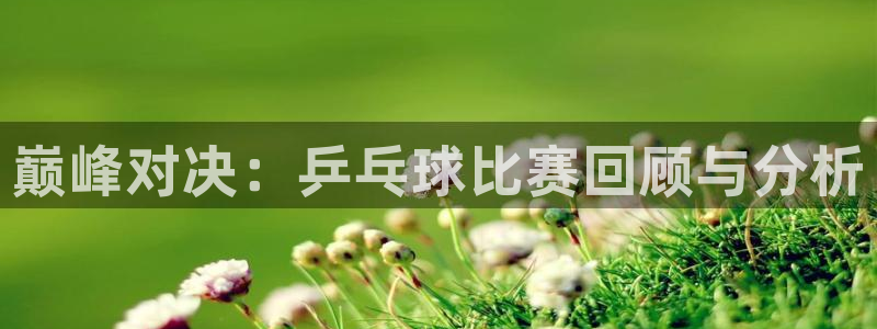 意昂2意昂2平台:巅峰对决:乒乓球比赛回顾与分析