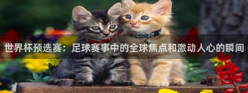 意昂2平台股东:世界杯预选赛:足球赛事中的全球焦点和激动人心